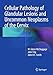 Cellular Pathology of Glandular Lesions and Uncommon Neoplasms of the Cervix
