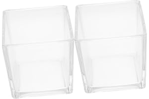 ifundom 2pcs Square Glass Vase Small Floral Art Holder Home Decoration Cube Hydroponic Planter