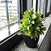 OFFIDIX Artificial Eucalyptus Plants with Black Vase for Office Desktop, Home and Friends’ Gift Fake Plant with Plastic Pots for Home Decoration Potted Plants for Bookshelf (Light Green)