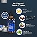 Beard Grooming Kit for Father's Day Gift, 1x Beard Oil, 1x Beard Balm and 1x Boar Bristle Beard Brush, 100% Pure, Natural for Men(Hair Repair and Growth - Vitamin E) from Anjou