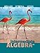 Intermediate Algebra, 4th edition