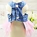 Howstar Pet Dress, Cute Halter Bowknot Tutu Dresses for Dog Puppy Lace Skirt Princess Dress (S, A)