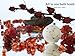 Noyali 12 Spa Bath Bombs Set- Premium Lush bath bombs Luxurious Handmade – 6 Each 3.5 & 4 Oz. – 100% Natural Ingredients, Rich Fragrances, Essential Oils, Pure White in Designer Packaging by noyali