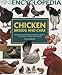 Mini Encyclopedia Of Chicken Breeds And Care. Expert Practical Guidance On by 