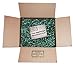 Classic Campus Survival Kit (Large)