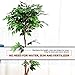 Goplus 5.5FT Ficus Silk Leaf Artificial Tree, Potted Fake Tree w/Green Leaves and Natural Trunk, Maintenance Free, Tall Faux Plant for Indoor Outdoor Decoration