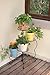 Worth Heavy Duty Wrought Iron Foldable Plant Stand Rotating Indoor Outdoor 4 Tier Tall Metal Corner Flower Pot Holder Multiplel Stands for Home Garden Patio Balcony Corner, Black