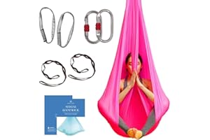 AUM ACTIVE Aerial Silk Yoga Hammock & Swing for Home, Inversion Exercises, Starter Kit for All Levels - Durable with Extension Straps, Carabiners, and Pose Guide