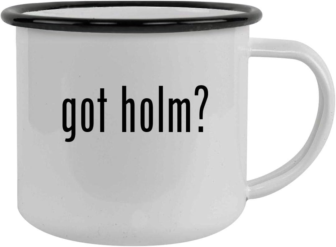 got holm? - Sturdy 12oz Stainless Steel Camping Mug, Black