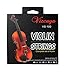 Vizcaya 2 Packs Full Sets Violin String (G-D-A-E) for 4/4-3/4 Size Beginner,Student Violin Replacement,Extra 4 string（E1,A2,E1,A2)