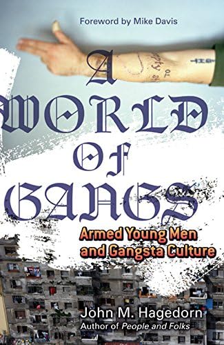 A World of Gangs: Armed Young Men and Gangsta Culture (Volume 14) (Globalization and Community)