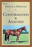 Equine Photos and Drawings for Conformation and Anatomy, Equine Research, Inc. Research Staff, 0935842136