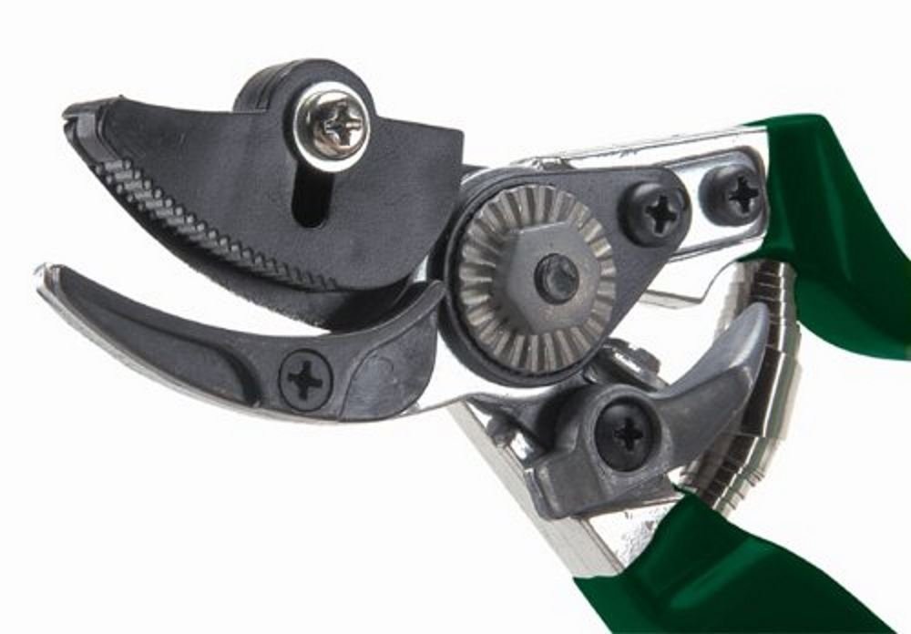 Burgon & Ball RHS Endorsed Rose Pruner, 20 cm Length