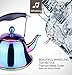 Onlycooker Whistling Tea Kettle Stainless Steel Stovetop Teakettle Sturdy Teapot for Tea Coffee Fast Boiling with Infuser Color Rainbow Mirror Finish 2 Liter / 2.1 Quart