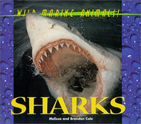 Wild Marine Animals - Sharks