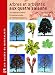 Arbres et arbustes aux quatre saisons (Botanique) (French Edition) by