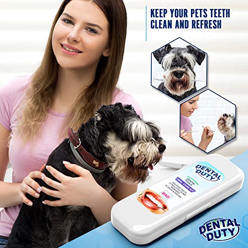 4 Dental+Hygiene+Kit+Stainless+Mirror+Dentist