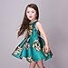 Kidscool Little Girls Sleeveless Yellow Rose Print Green Princess Dress