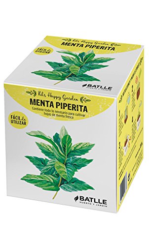 Huerto Urbano - Kit Happy Garden Menta Piperita - Batlle: Amazon ...