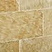Honey Onyx 3 X 6 Polished Premium Brick / Subway Tile - 2-pcs. Sample-Set