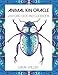 Animal Kin Oracle by 