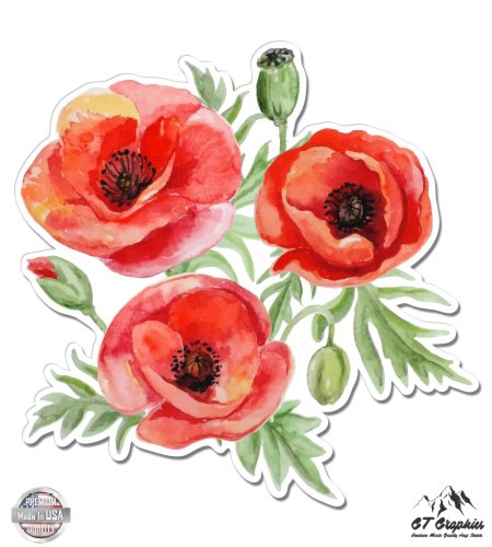 Poppies Watercolor - 3