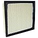 ECOGARD XA6116 Premium Engine Air Filter Fits 2011-2025 Dodge Durango, 2024-2026 Toyota Tacoma, 2025 4Runner, 2011-2021 Jeep Grand Cherokee, 2011-2020 Toyota Sienna, 2010-2022 Lexus RX350