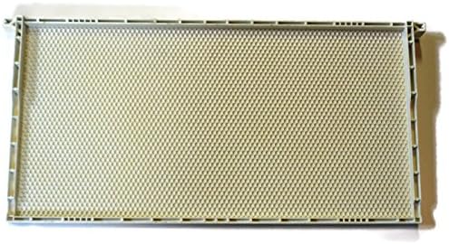 Acorn bee 10 pack deep white 9-1/8 inch plastic frame bee's wax coated