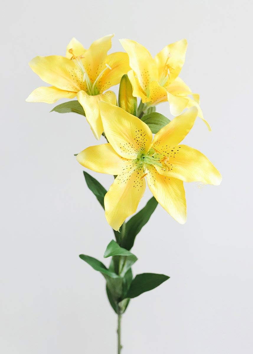 Amazon Com Lily Artificial Flowers Daylily In Yellow Gold Home Kitchen