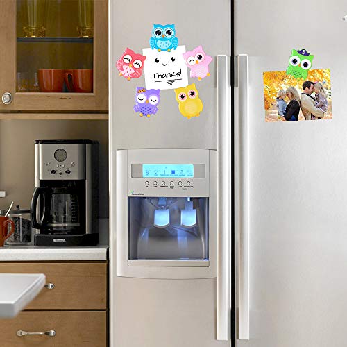 Owl Refrigerator Magnets 6PCS Epoxy Resin Decorative Fridge Magnets Set Cute Funny Decoration Locker Kitchen Office Whiteboards etc Suitable for Kids Toddlers and Adults (Cartoon Owl) - Thumbnail 3