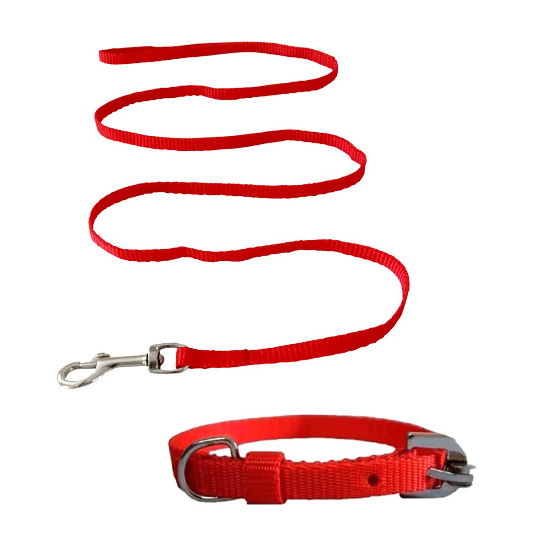 puppy leash and collar set