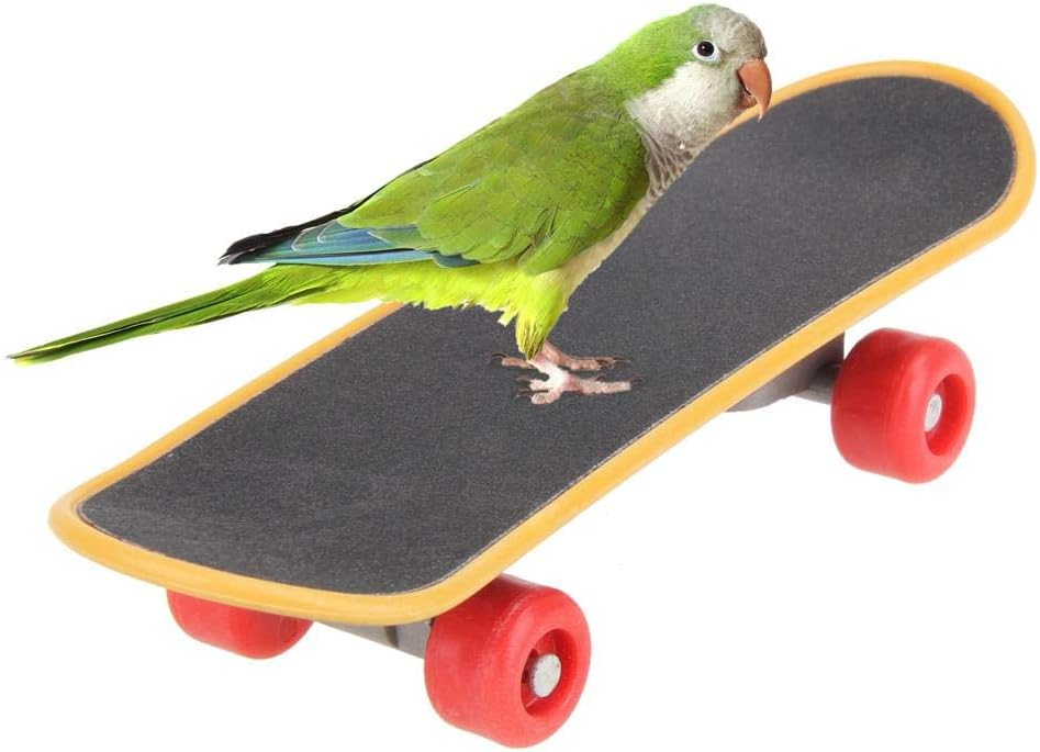 Jocestyle Mini Parrots Skateboard Toy Birds Acrobatics Training Playing Skateboarding Toy