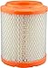 Hastings Filters AF1531 Radial Seal Air Filter Element