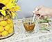 Gargle Away All-Natural Throat Care - Soothes Sore Throat, Tough Mucus, Persistent Cough, Oral Thrush for Adults (20 Packets) - Spicy Herb Flavor
