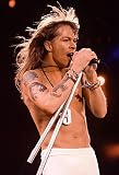 Axl Rose Poster 13x19" Color Print