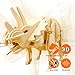ROBOTIME 3D Wooden Dinosaur Puzzle for Kids Mini Triceratops Wooden Craft Kit Sound Control Robot Model Best Birthday Gifts for Boys