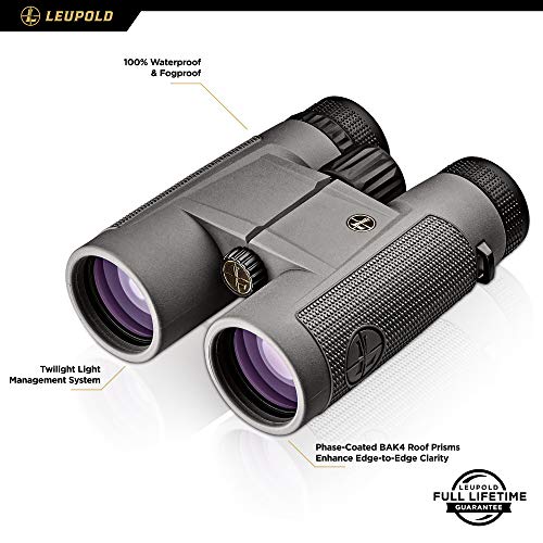 Leupold BX-1 McKenzie 10x42 Binoculars, Shadow Gray