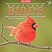 2016 Backyard Birds Wall Calendar