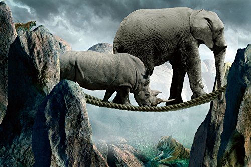 Cortesi Home Animal Tracks Tempered Glass Wall Art,