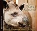 The Tapir Scientist: Saving South America's Largest Mammal (Scientists in the Field)