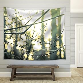 Water Drops on Tree Twig in Fall Forest - Fabric Wall Tapestry Home Decor - 51x60 inches