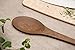 Epicurean Kitchen Series Utensils, Large Spoon, Nutmeg
