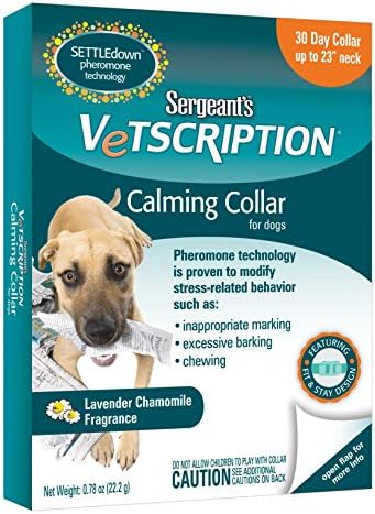 Sargento dog collar Outlet