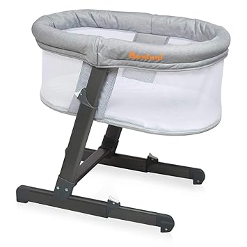 baninni baby swing