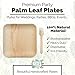 Chic Leaf Palm Leaf Plates Disposable Inch Square Pack Compostable Biodegradable & Eco Friendly Plates - Microwave Safe Disposable (10'' - 25 Pack)