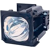 BP96-01795A - Lamp With Housing For Samsung HLT5676SX, HLT6176SX, HLT6176 TV's