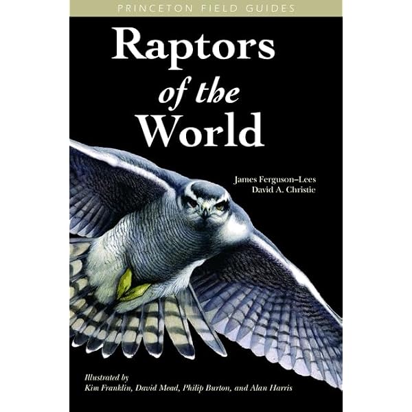 Amazon.com: Jeffrey Whiting's Owls of North America (Whiting's