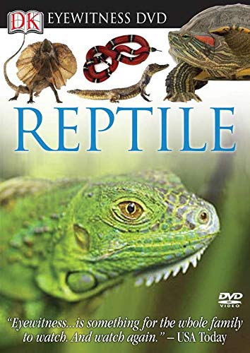 Eyewitness DVD: Reptile (Best Reptiles For Kids)