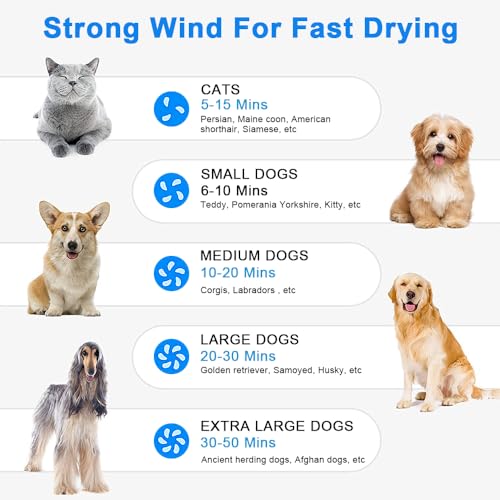 Gluckluz Pet Hair Dryer Blower Blowing Machine Hair Drying for Dog Cat Grooming Fur Blaster High Velocity Powerful Hairdryer with 3 Nozzles (Blue)