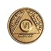 6 Year Bronze AA (Alcoholics Anonymous) - Sober / Sobriety / Birthday / Anniversary / Recovery / Medallion / Coin / Chip by Generic